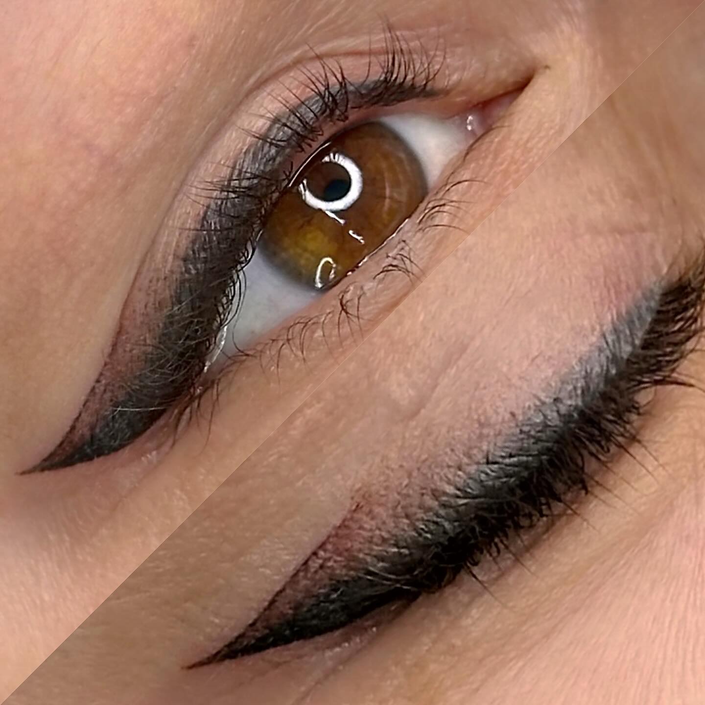 559230682_18364985566156456_6068919877250109316_n